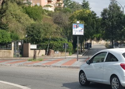 palina 1x1 smapi roma