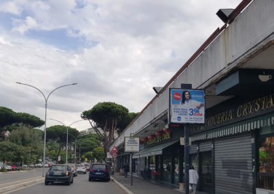 palina 1x1 smapi roma